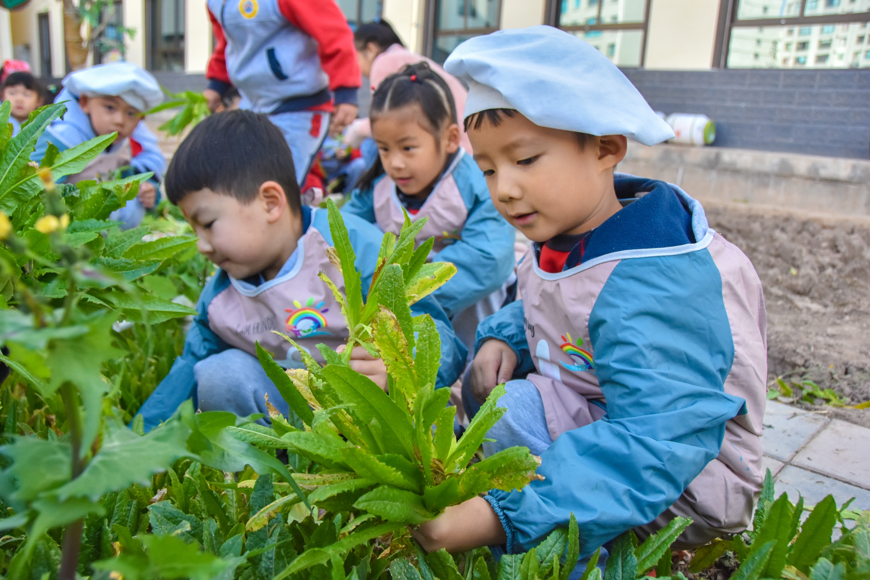 1.甘肅臨澤：濱河幼兒園“種植農(nóng)場” 體驗農(nóng)耕樂趣3.JPG